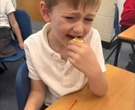 Senses in science 2
